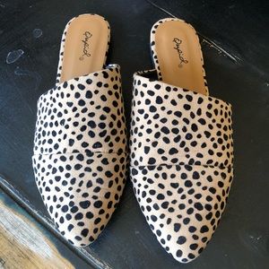 Leopard mules